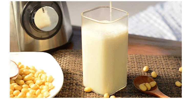 zoke中科电 zz102多功能榨汁机家用全自动迷你炸水果果汁机豆浆机