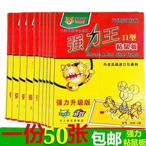 Kitty Powerful Sticky Rat Board Mitten Stickers Powerful Viscose Poker Mouse Environmental Safety Safety Mucus Stickers 50-93 Promotions