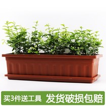 Balcony Plastic Flower Pot with trays rectangular Balcony Growing Vegetable Case long trough basin strip basin Vegetable Flower Pots