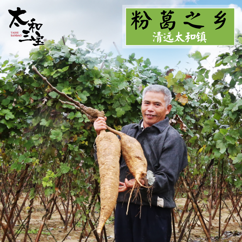 广东现挖新鲜粉葛 无渣煲汤清远特产农家纯天然农产品生葛根5斤_7折