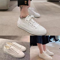 Giant Fold 22 New Wannian Classic Bi-prepared SW Sammy Little White Shoe Memory Insoles Canada