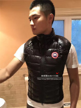 Canada Goose HYBRIDGE LITE VEST Mens and womens Waistcoat