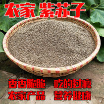 Farmhouse perilla edible perilla seed non-seed fresh perilla barbecue material crispy delicious fried 500g