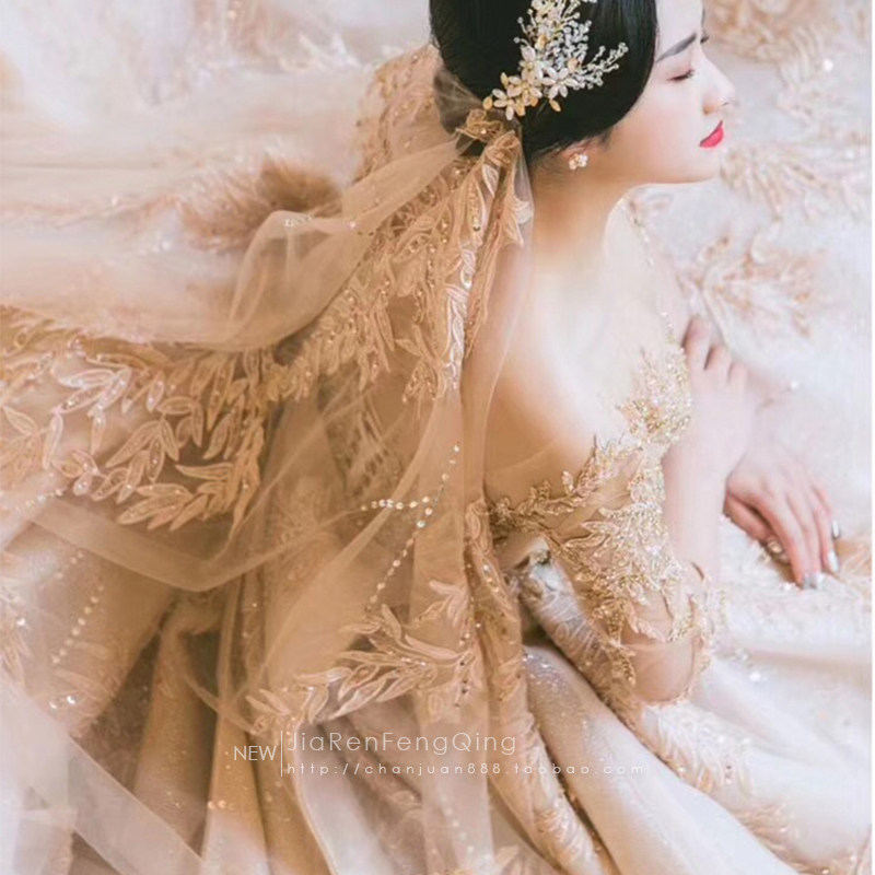 新娘头纱香槟金色2019新款抖音同款金闪闪软网3米5长款拖尾大头纱