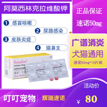 Sunuo tablets 50mg pet cat cold medicine cat skin disease nasal branch urinary tract stomatitis 10 capsules for veterinary use