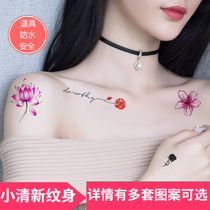 Tattoo stickers for men and women waterproof long-lasting ins wind not permanent simulation cream 1 year sexy tattoo net red stickers 30 pieces