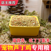 Luding Chicken Exclusive Feed Quail Produce Egg Feed CUHK Small Chicken Chick Universal Open Grain Crub Cub Food
