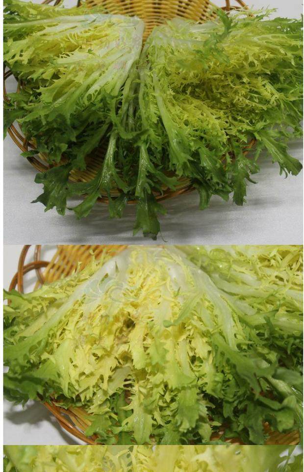 1品种原因有些品种含莴苣素较多,口感发苦有些品种若采收不及时,延长