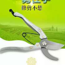 (Zi Zilong Cat) Cut Grass God Instrumental Cut Apple Branch Dragon Cat Hay Rabbit Dry Grass Shepherd Grass