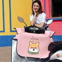 Small electric electric bottle car summer wind wind in four seasons universal thin double sided waterproof summer new sunscreen