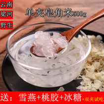 Saponata rice single pod 500g Yunnan Wild 1kg super natural snow lotus seed peach gum snow swallow partner Lianghe