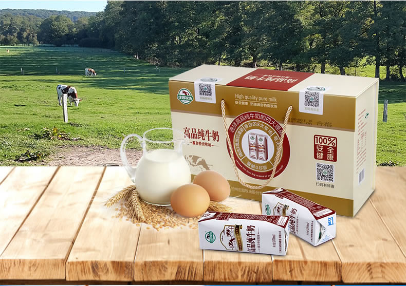 【2月新货】庄园牧场高品纯牛奶 营养早餐奶2