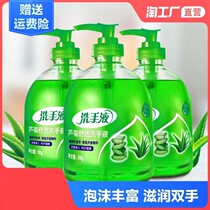 Aloe Sanitizer Foam Rich without Hurting Hands Nourishing moisturizing Cleaning Home Press Bottled Clear Aroma Type 500g