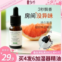 Water-soluble aromatherapy essential oil humidifier special household air purification lavender indoor help sleep expand aromatherapy fragrance