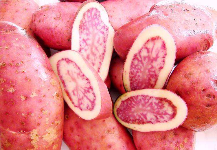 红皮土豆 红皮土豆,源自"土豆之乡"—南美洲秘鲁,土豆颜色特别