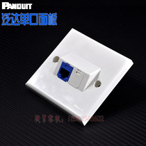 PANDUIT original quality Panduit single-port panel dual-port four-port network information panel CFP86S2