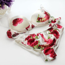 Sizhong Jiao Printed Bra Set 100% Silk Underwear Bra Underwear Set Silk Protein