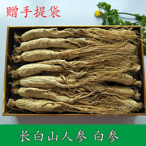 Long white ginseng white ginseng white ginseng white ginseng white ginseng white ginseng white ginseng white ginseng white ginseng white ginseng 250 gr ginseng white ginseng white ginseng white ginseng
