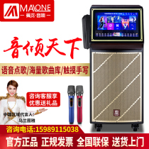 Manlong audio outdoor square dance with display screen professional performance KTV point singing video machine dance speaker