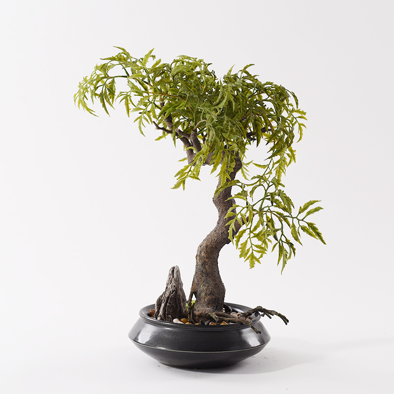 New Chinese style decoration office zen green the plants bonsai pottery pot pot porch pebble combination furnishing articles