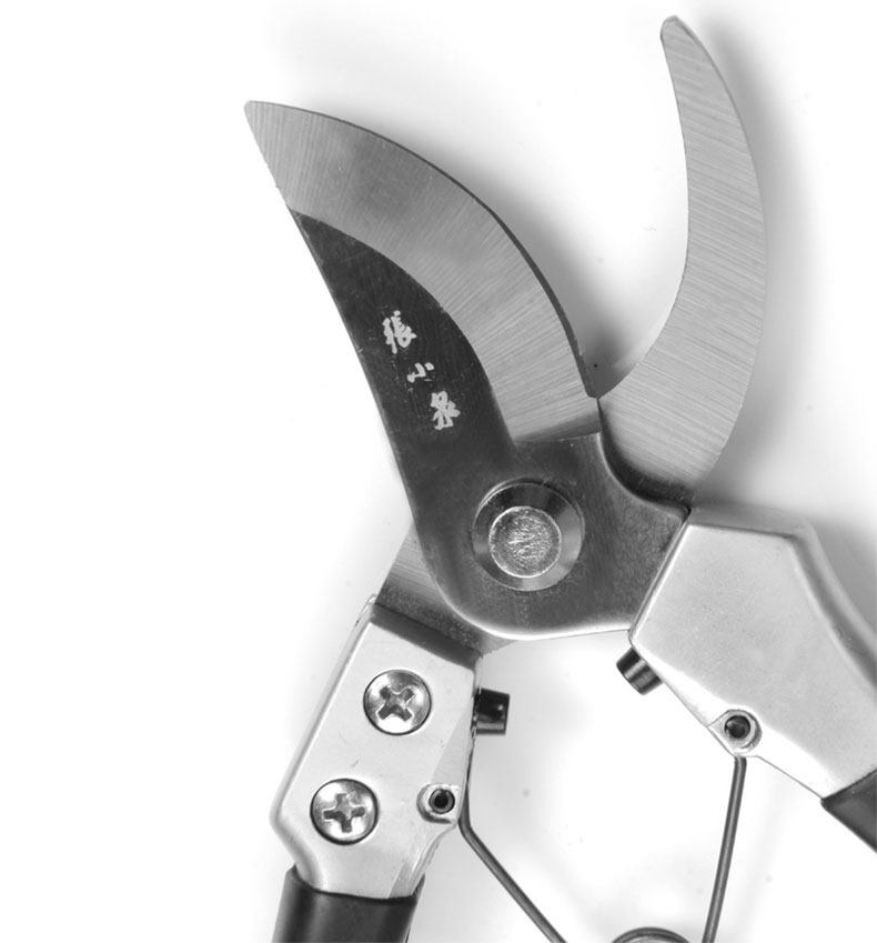 张小泉月季修枝剪刀整枝剪摘果剪耐用剪树枝花木草盆景园艺工具