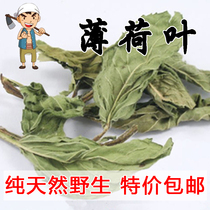 Taihang deep mountain area wild dried mint leaves 250g mint tea selection wild quality