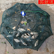 Fish net shrimp cage Fishing cage Fishing net shrimp net fish fishing gear Eel loach crab cage automatic folding cage tool