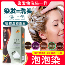 Bubble foam hair dye cream 2021 new popular color pure black milk tea color plants dye their own hair at home to show white