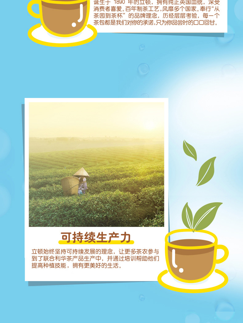 【立顿】花果茶冷泡茶7包*3盒