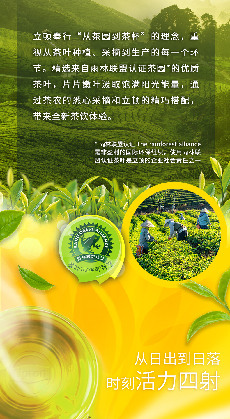立顿奉行“从茶园到茶杯”的理念,重视从茶叶种植、釆摘到生产的每一个环节。精选来自雨林联盟认证茶园*的优质茶叶,片片嫩叶汲取饱满阳光能量,通过茶农的悉心釆摘和立顿的精巧搭配带来全新茶饮体验。雨林联盟认证 The rainforest alliance是非盈利的国际环保组织,使用雨林联盟认证茶叶是立顿的企业社会责任面林联盟认证1(0可满从日出到日落时刻活力四射-推好价 | 品质生活 精选好价