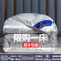 Hilton hotel silk quilt 100 mulberry silk spring and autumn thickened warm winter quilt quilt quilt core 8 10 catties