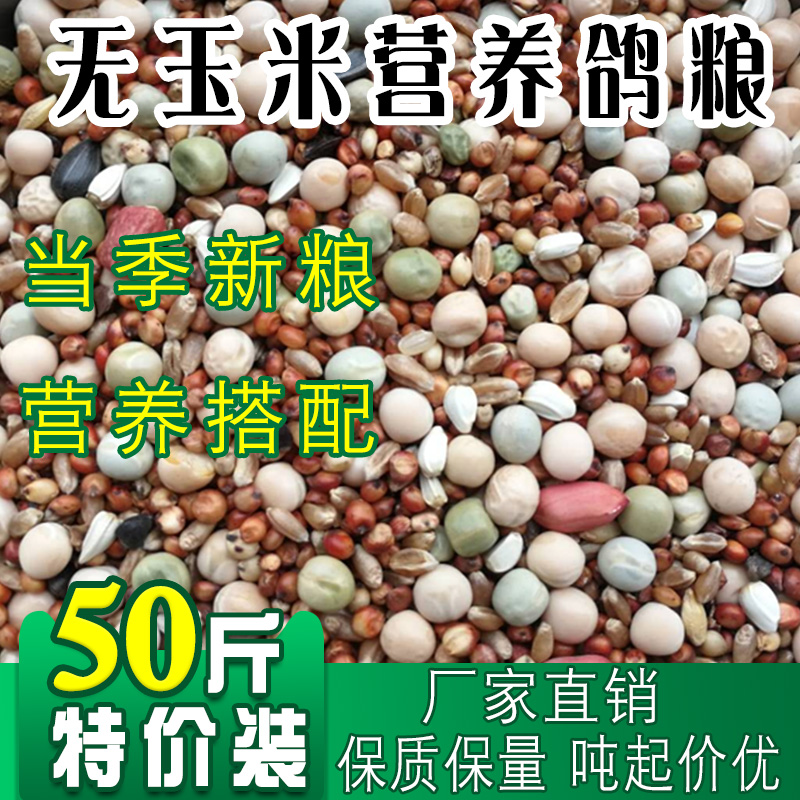 (50 catties) nutrition corn-free nutrition race fly feed homing pigeon ornamental pigeon food bird food 25kg 50 catties