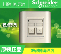 Schneider Switch Socket Light Point Intoxication Gold Light Point Gold Duplex Computer Double Computer Double Second Two Computers