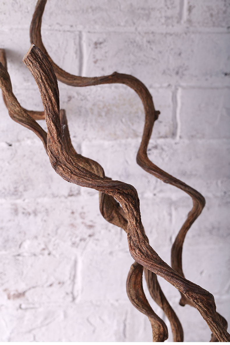 越南进口过江龙树藤干枝干花酒店客厅餐厅会所样板间装饰柳条干支