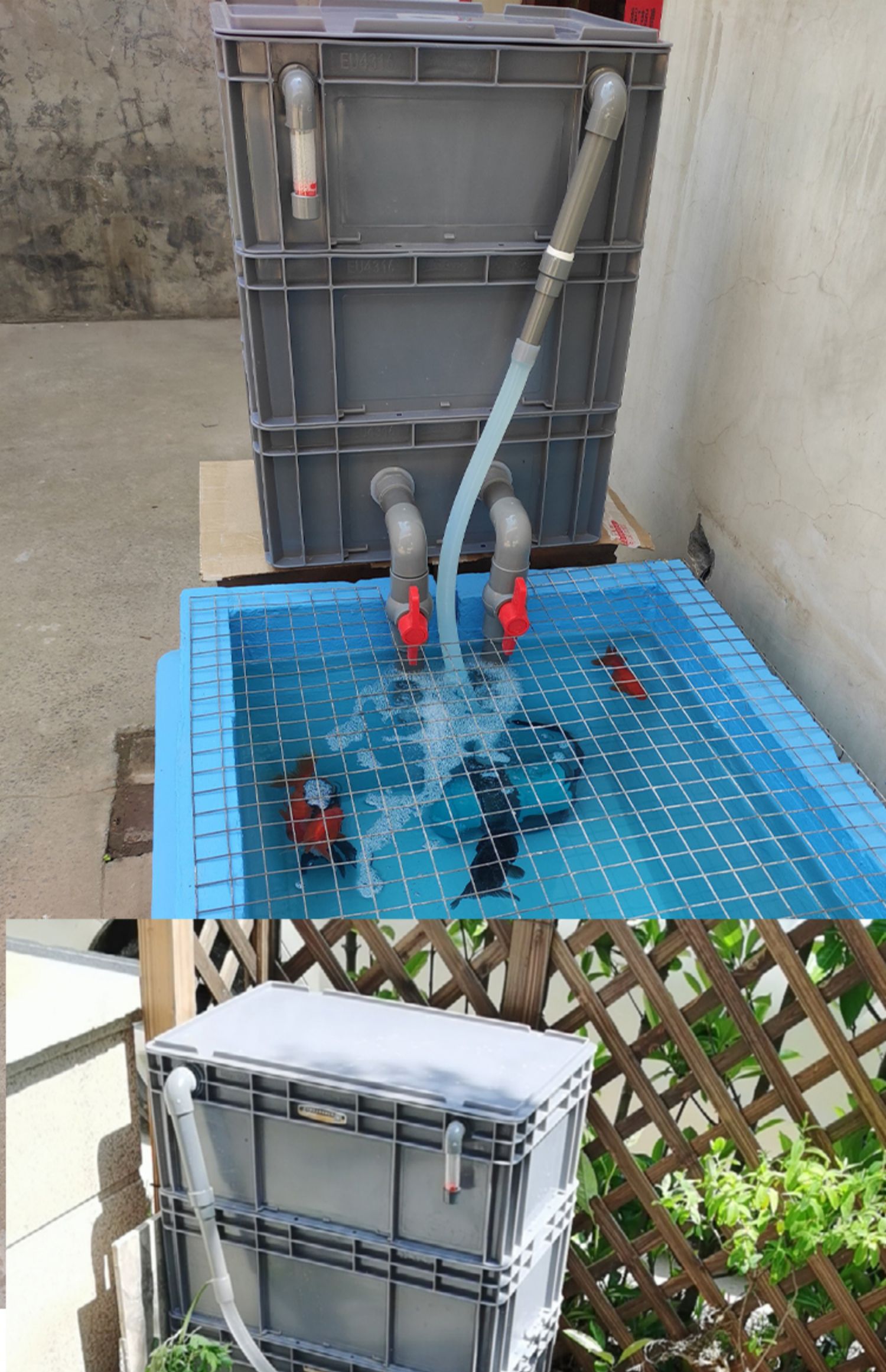 户外鱼池过滤器水幕墙净水养殖鱼缸反冲洗上置室内外庭院水循环