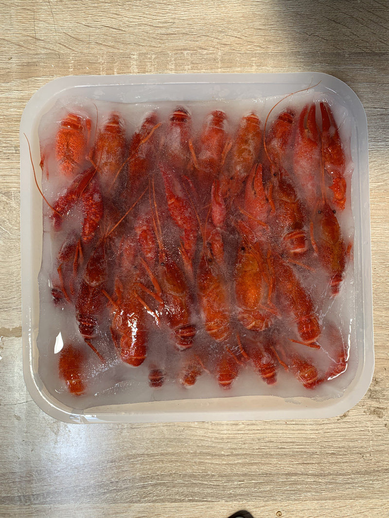 2021潜江鲜活速冻小龙虾液氮速冻清水虾678钱规格30斤起售货源充足