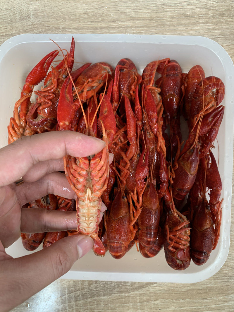 2021潜江鲜活速冻小龙虾液氮速冻清水虾456钱规格30斤起售货源充足