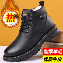 Official Nets Red Dragonfly Cotton Shoes Mens Winter Plus Suede High Help Shoes Mens Korean Version Trendy Mens Shoes Winter 2021 New Genuine Leather Palate