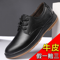 Official website Red dragonfly leather shoes mens leather 100 lap mens shoes 2021 New trendy shoes mens autumn business positive dress
