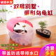 Tortoise tank with balcony for home villa creative plastic turtle breeding box amphibious landscaping turtle tank with cover Tortoise tank with balcony for home villa creative plastic turtle breeding box amphibious landscaping turtle tank with cover