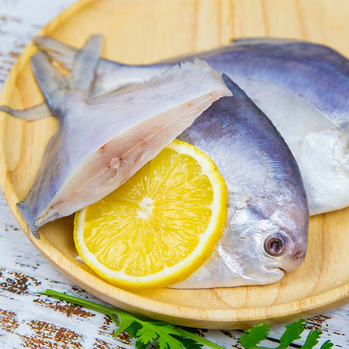 三斤装青岛海捕银鲳鱼冷冻小鲳鱼