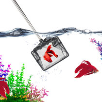 Telescopic stainless steel fishing small net does not hurt fish small small children Square fine mesh square fish tank fish fishing