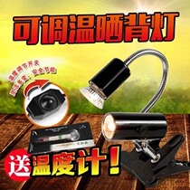 Turtle drying lamp Reptile heating lamp Turtle tank UVA UVB sun lamp Water turtle heating lamp Pet insulation lamp holder