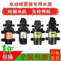Electric Sprayer Water Pump Agricultural High Pressure Pump Smart High Power Diaphragm Pump Small Motor Spray Drug Dosing Machine Accessories
