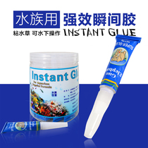 Moss glue grass Moss skeleton family sunken wood stone coral rhododendron Moss structure water glue grass fish tank landscape