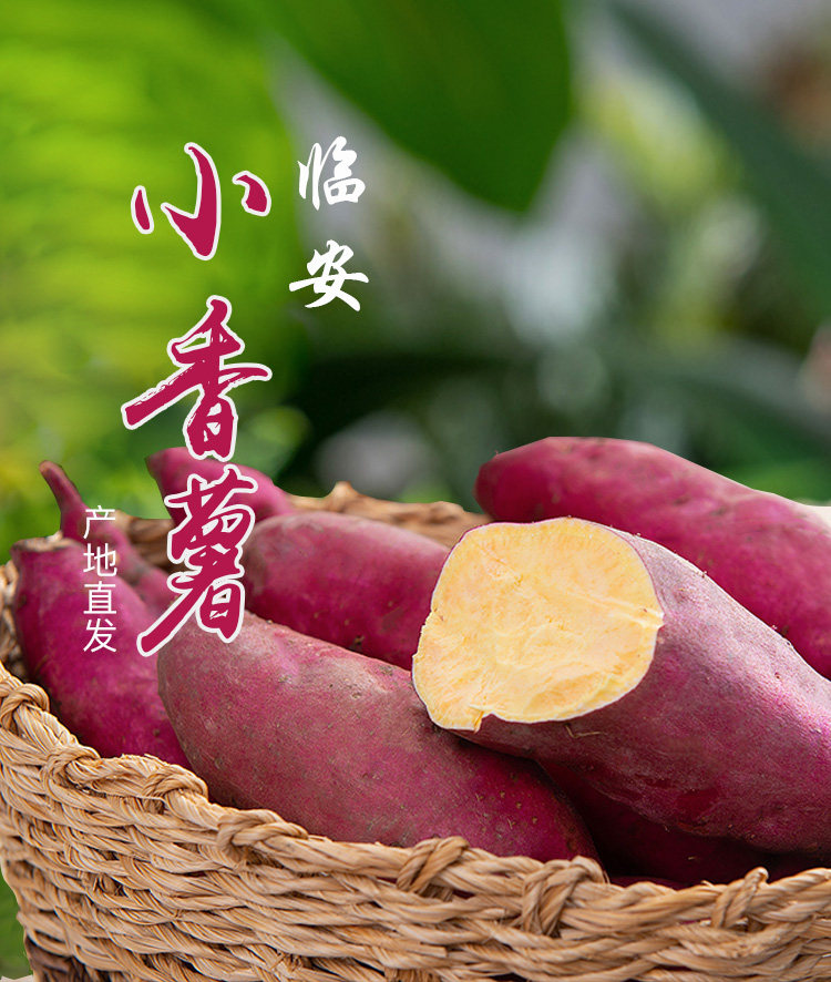 现挖 临安小香薯5斤10-80个左右天目山小番薯新鲜沙地小红薯地瓜 - 钟