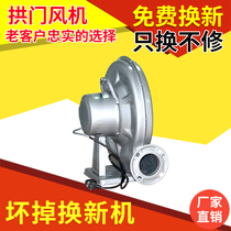 Arch fan 330W 550W rainbow door special blower arch air mold medium pressure iron shell plastic shell hair dryer