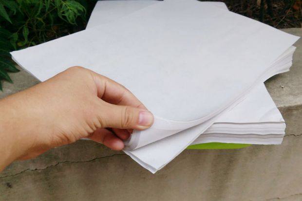 芽苗菜育苗纸 专用种植纸 保湿 无土栽培水培催芽发芽纸上蔬菜_7折