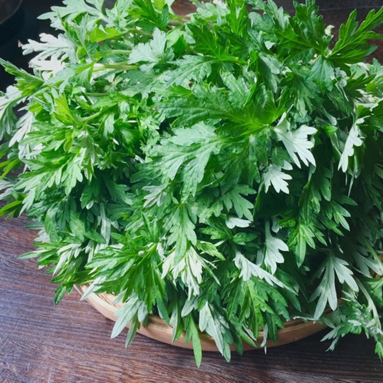 新鲜艾草食用 野生艾叶 嫩艾蒿食用青团果 糍 粑青团材料2斤包邮_7折