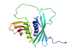 虽有科学研究表明 ,有些蛋白质有相当一部分以二肽或三肽的形式被吸收